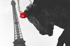 grafika-rekalmowa-projekty-graficzne-grafika-reklamowa-0051