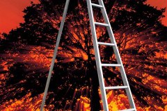 grafika-rekalmowa-projekty-graficzne-grafika-reklamowa-0085