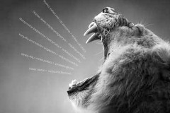 grafika-rekalmowa-projekty-graficzne-hyva-reklama-8a