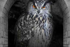 grafika-rekalmowa-projekty-graficzne-hyva-reklama-9a