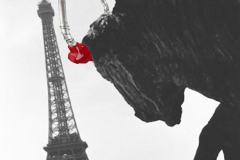 grafika-rekalmowa-projekty-graficzne-opw-nr1-okladka11