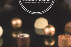 grafika-rekalmowa-projekty-graficzne-roll-up-mount-blanc