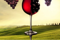 grafika-rekalmowa-projekty-graficzne-wino-rollup-2-1