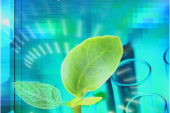 grafika-rekalmowa-projekty-graficzne-zrzut-ekranu-2025-06-10-133347